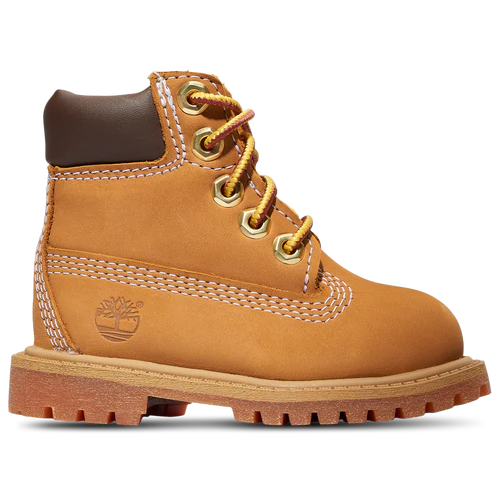 TD Timberland 6" Premium Waterproof Boot