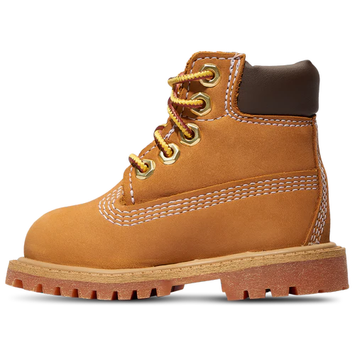 TD Timberland 6" Premium Waterproof Boot