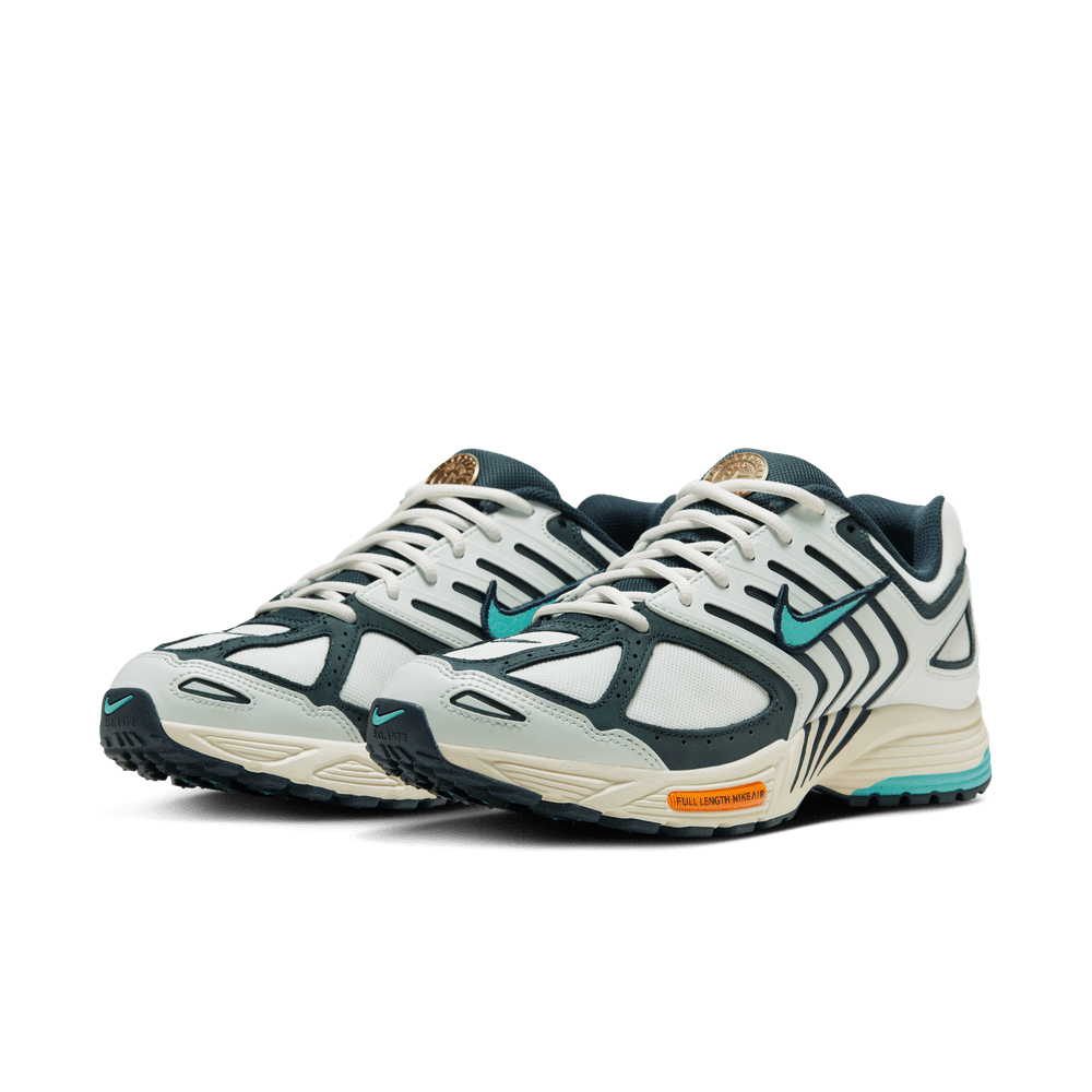 Nike Air Pegasus 2005