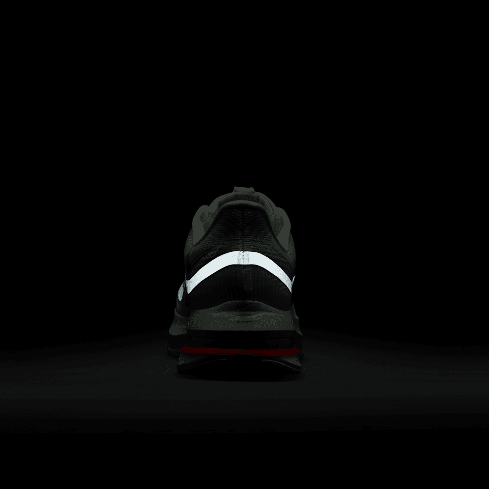 Nike Pegasus Premium