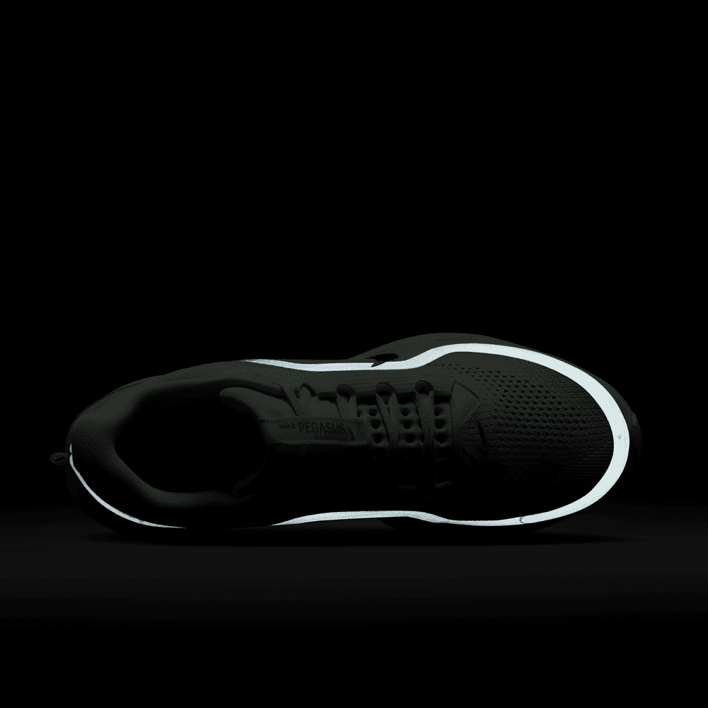 Nike Pegasus Premium
