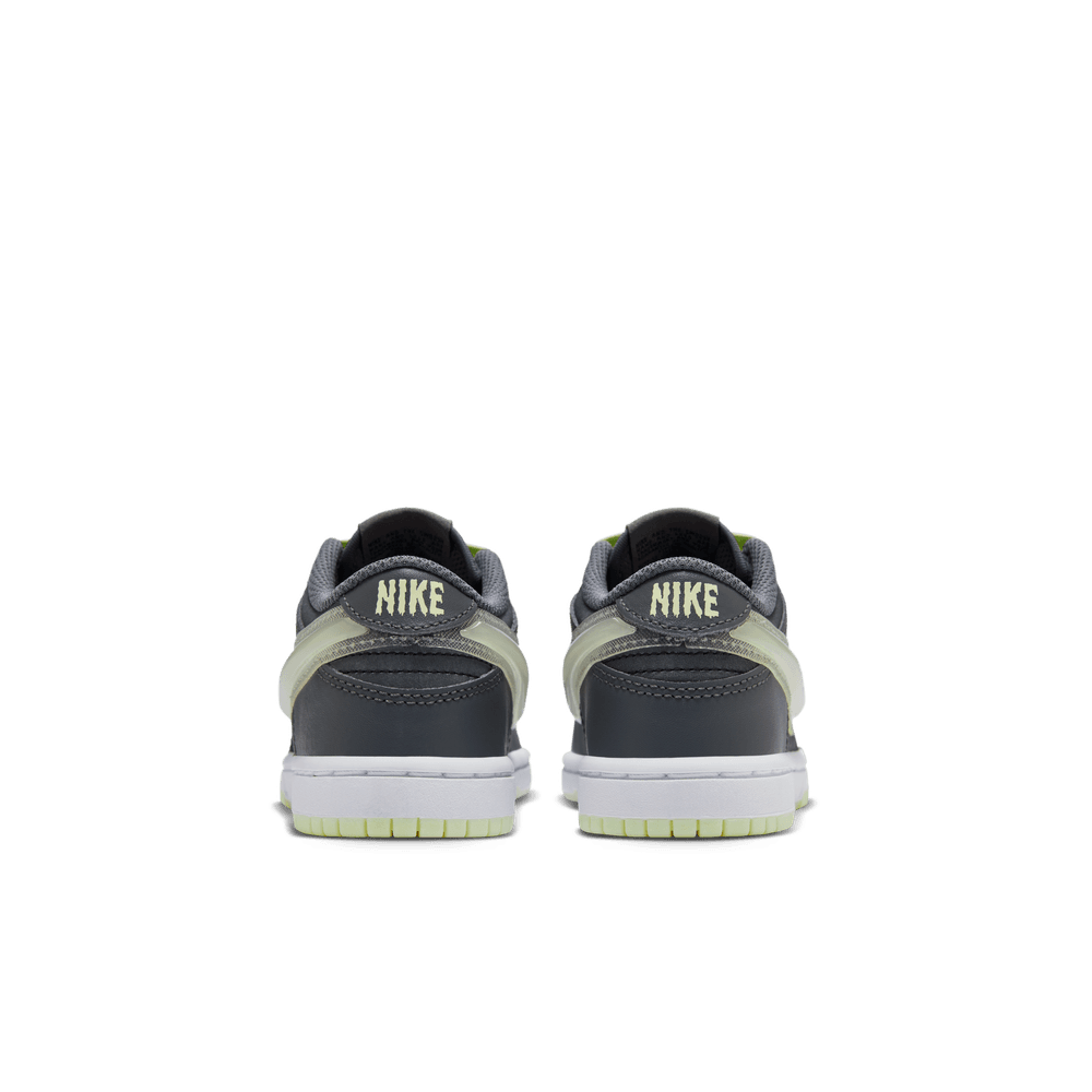 PS Nike Dunk Low