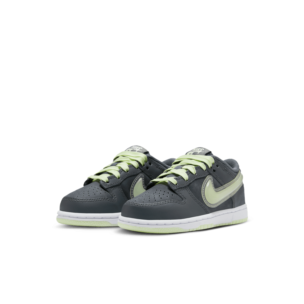PS Nike Dunk Low