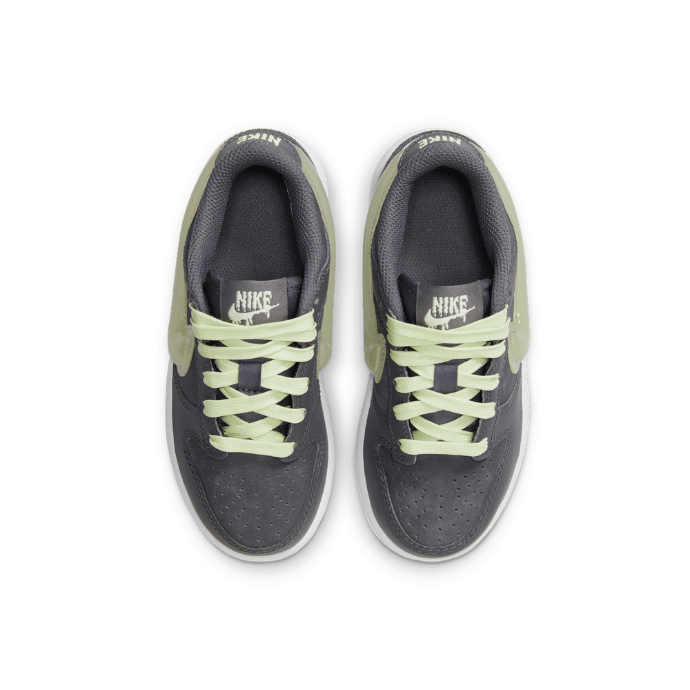 PS Nike Dunk Low