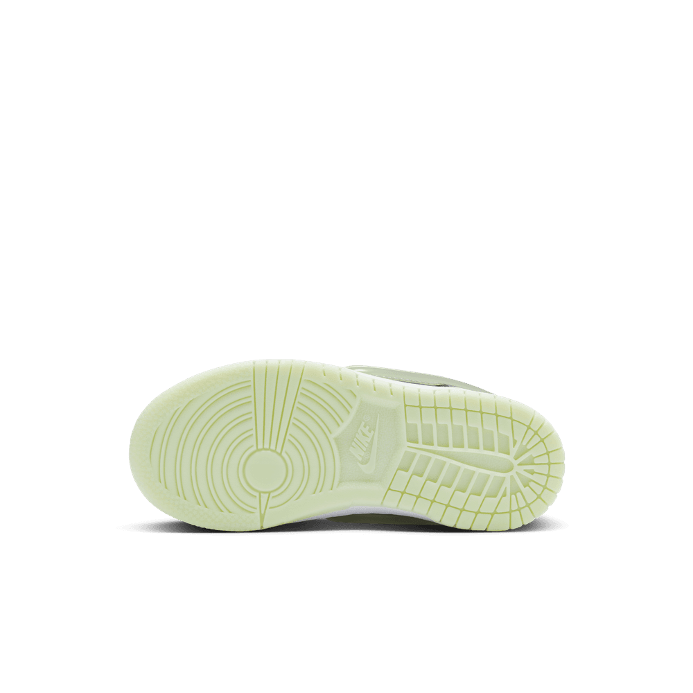 PS Nike Dunk Low