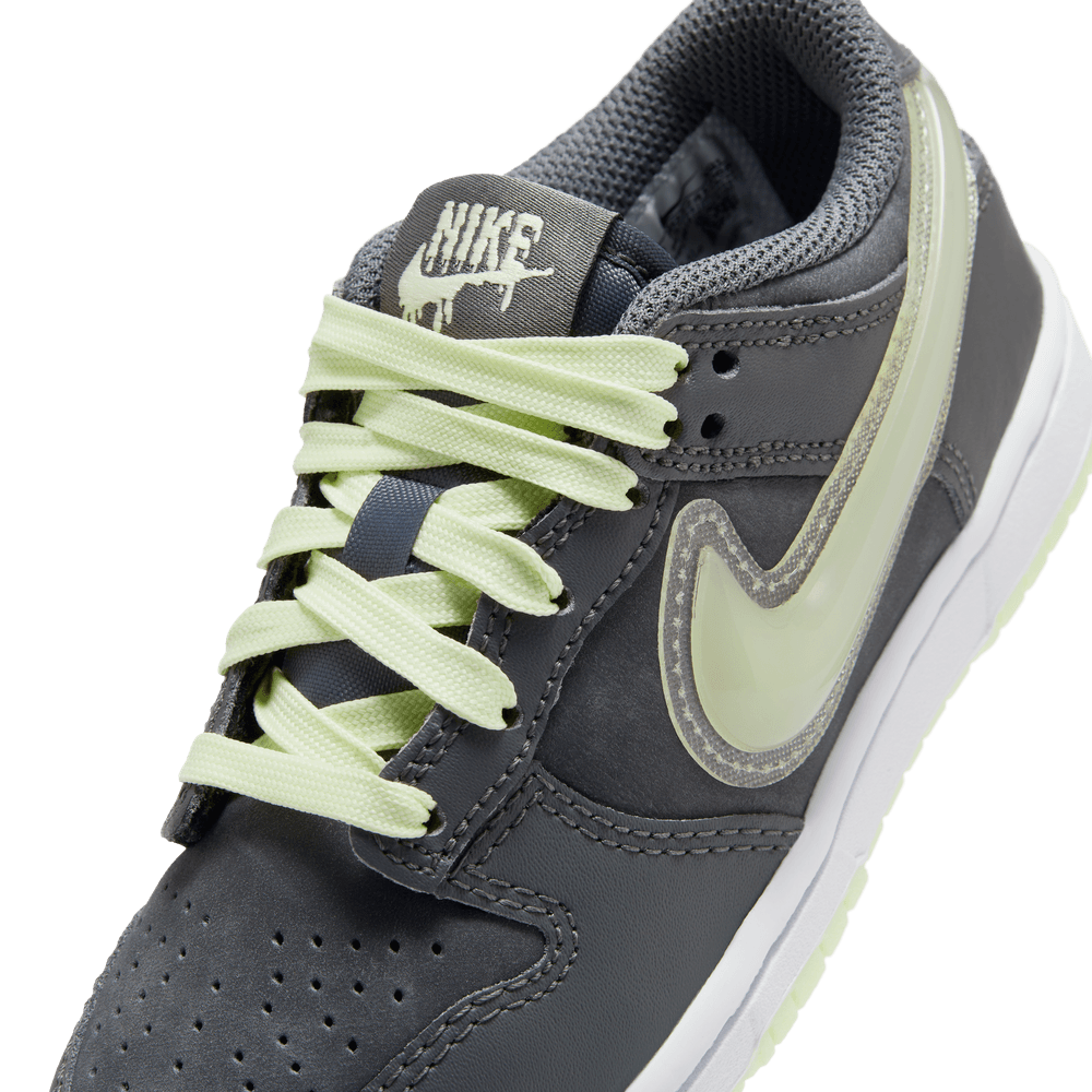 PS Nike Dunk Low