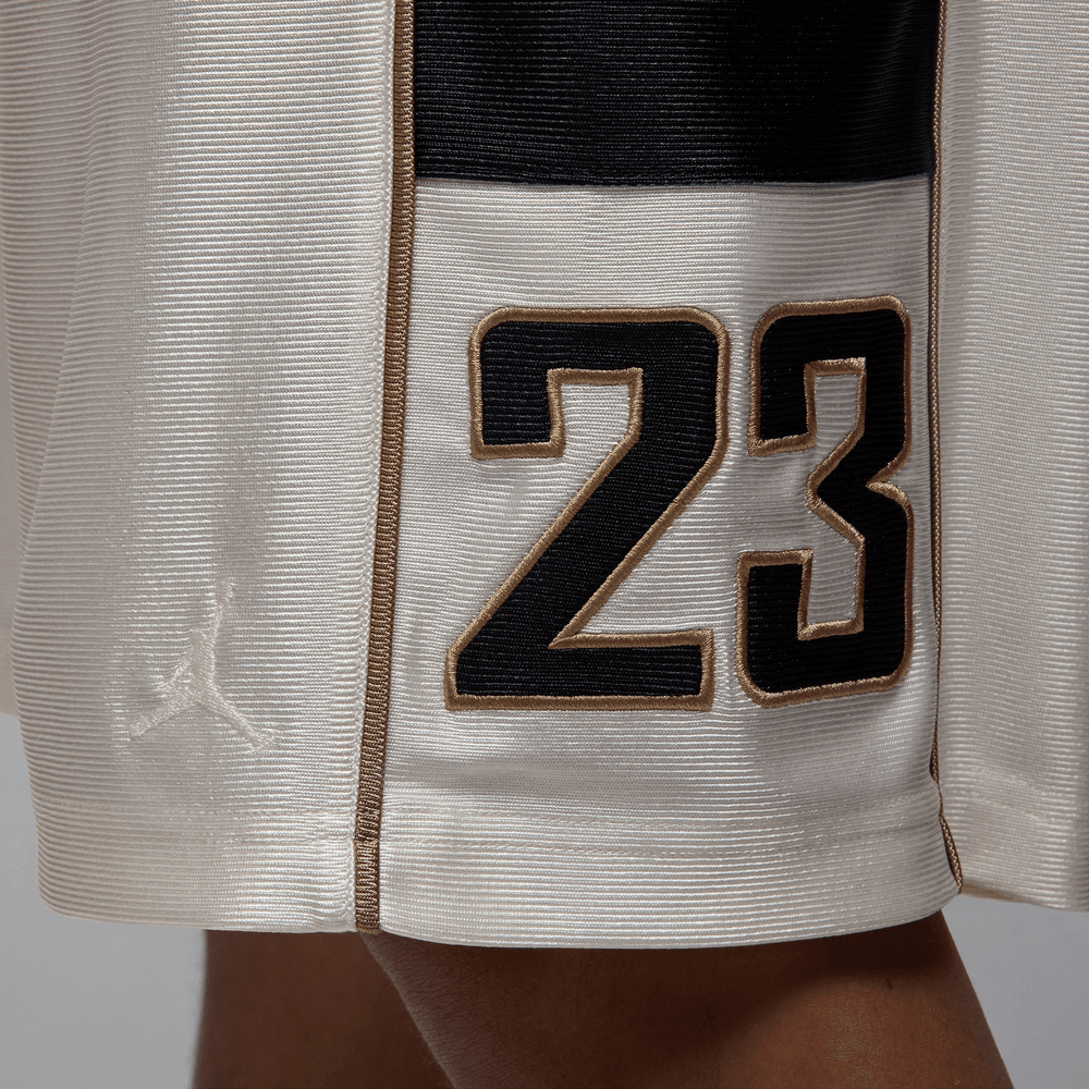 Air Jordan Brooklyn Cat Scratch Shorts 