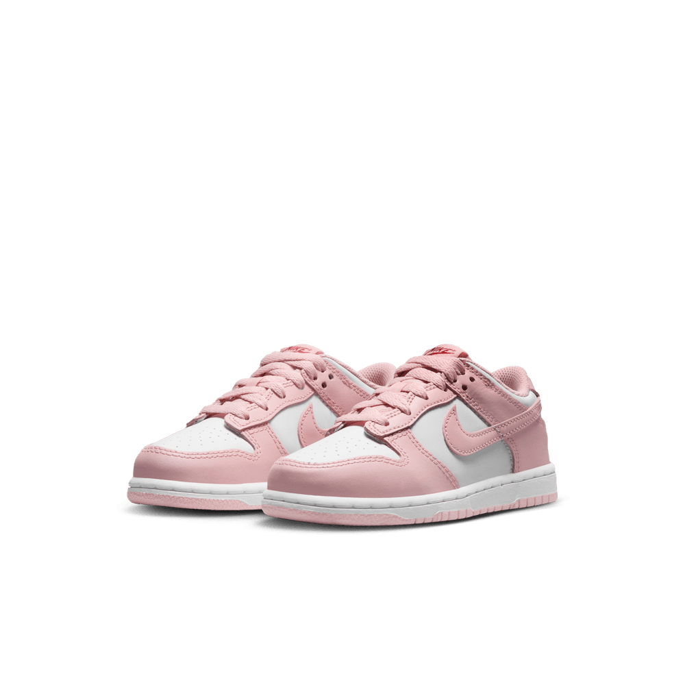 PS Nike Dunk Low