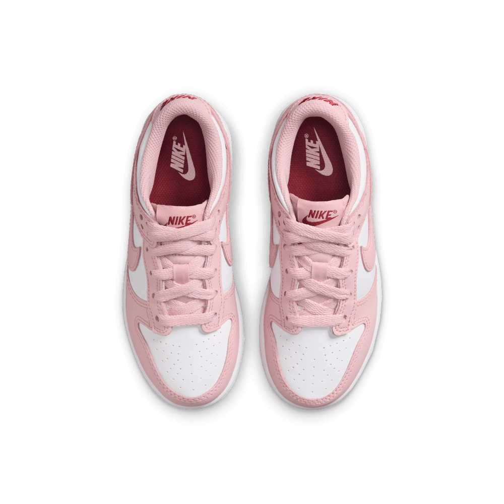 PS Nike Dunk Low