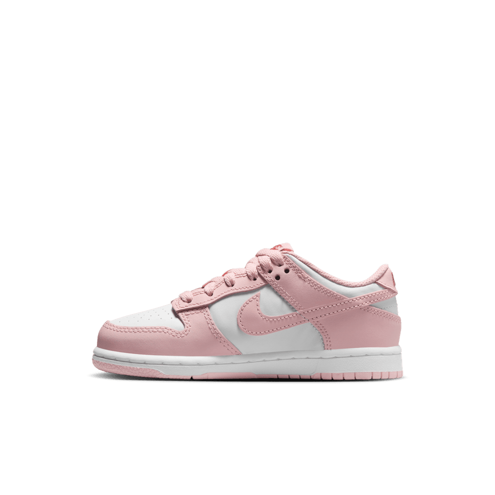 PS Nike Dunk Low