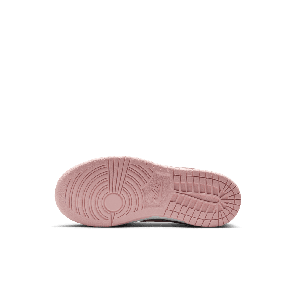 PS Nike Dunk Low