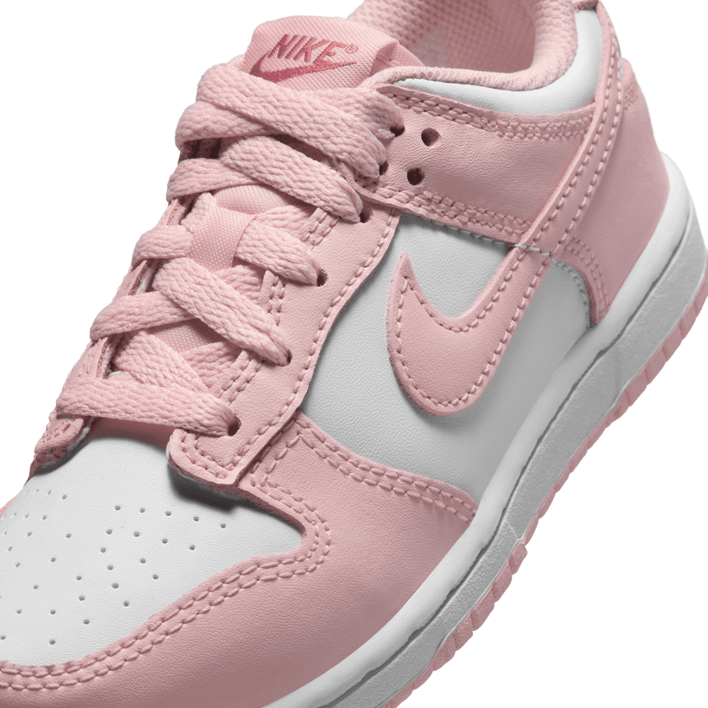 PS Nike Dunk Low