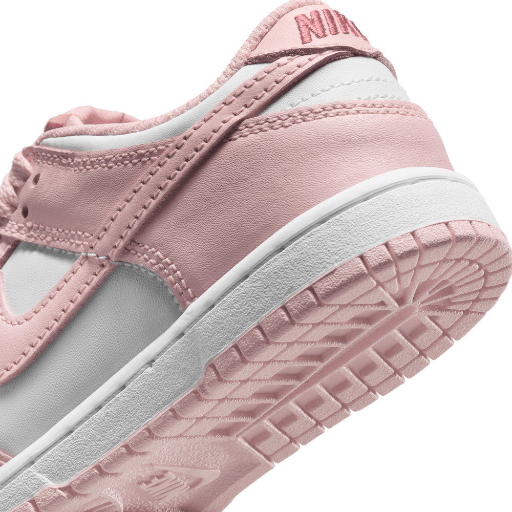 PS Nike Dunk Low