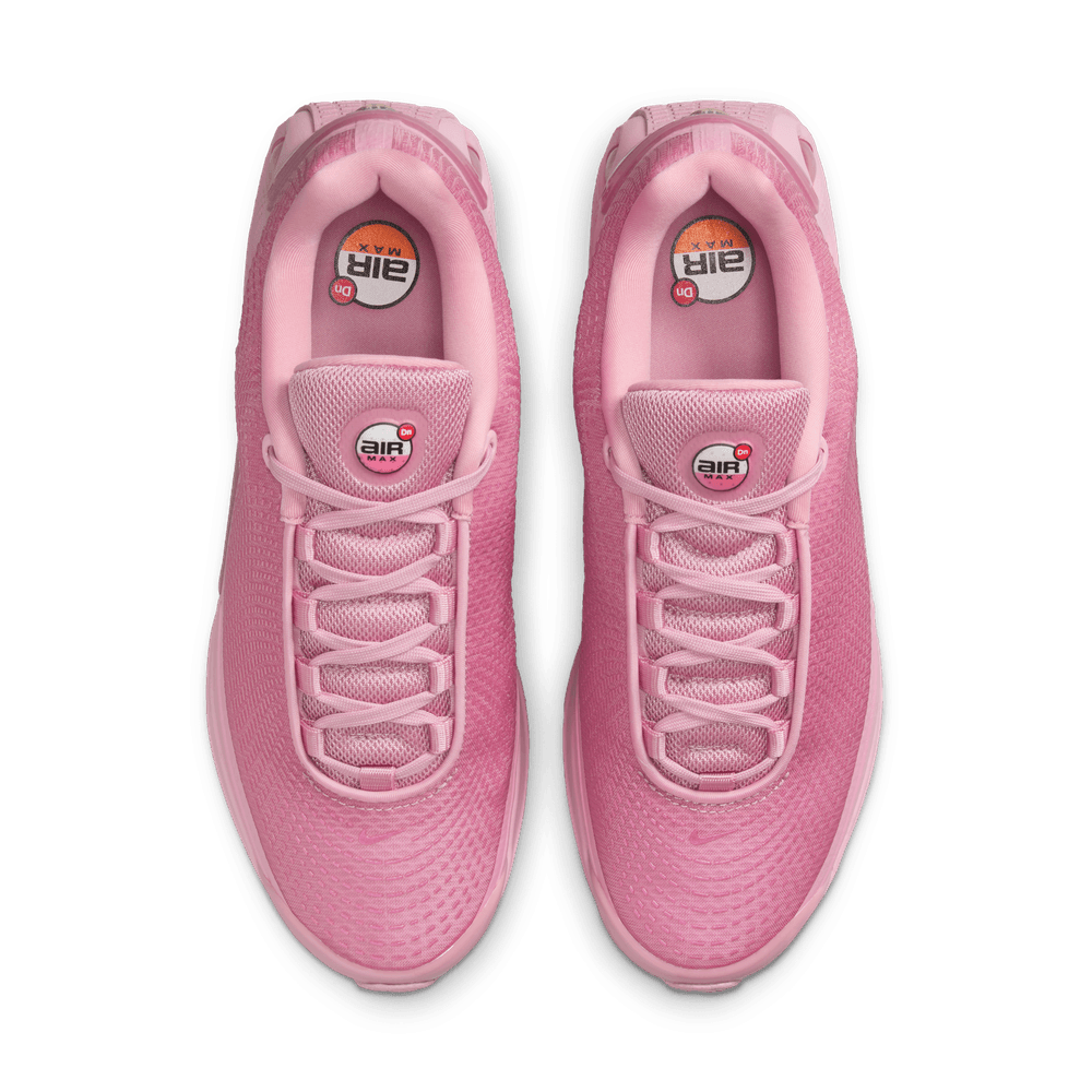 Wmns Nike Air Max DN
