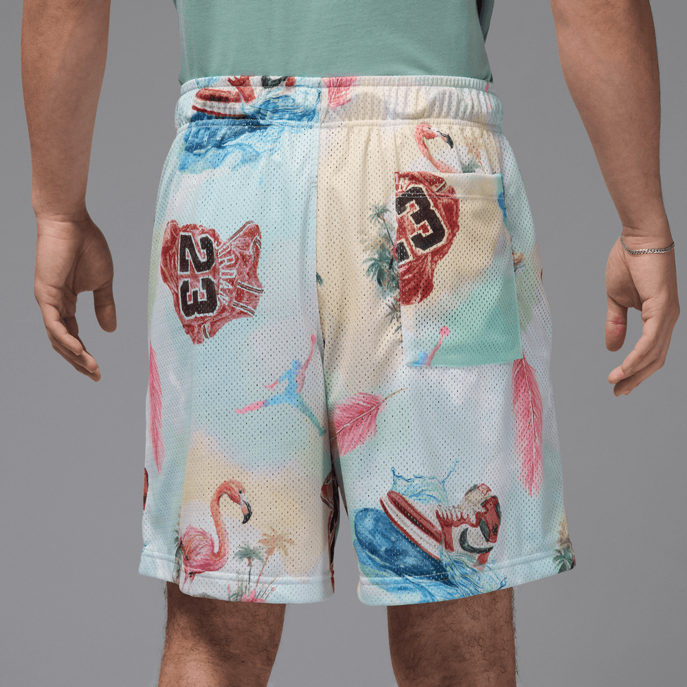 Air Jordan Essentials Printed Mesh Shorts