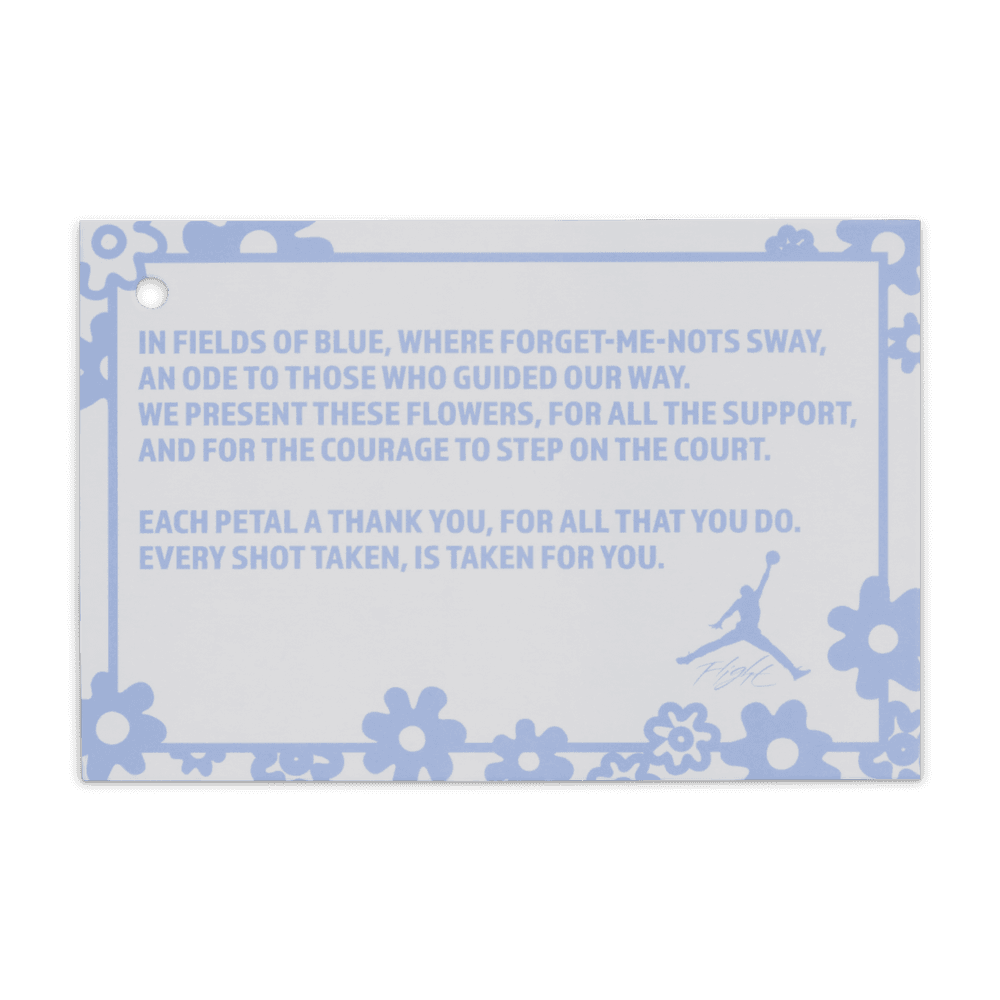 PS Air Jordan 4 Retro