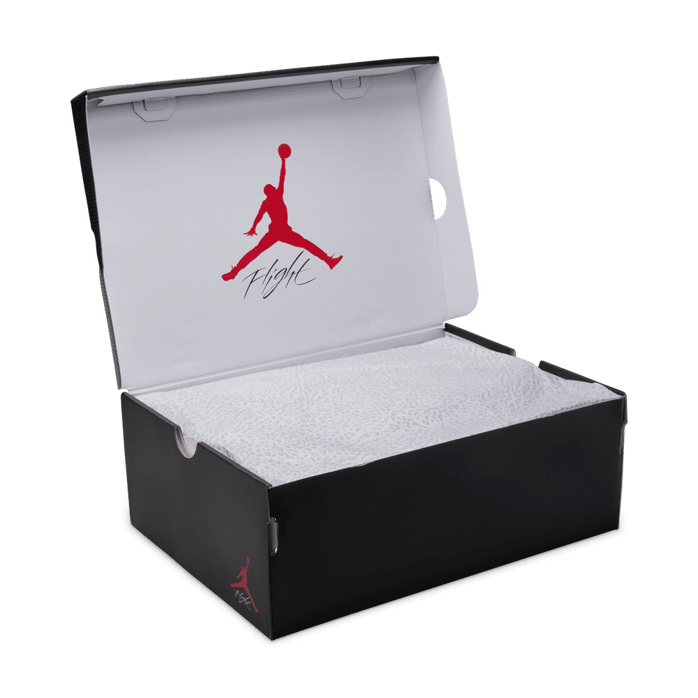 Air Jordan 3 Retro OG