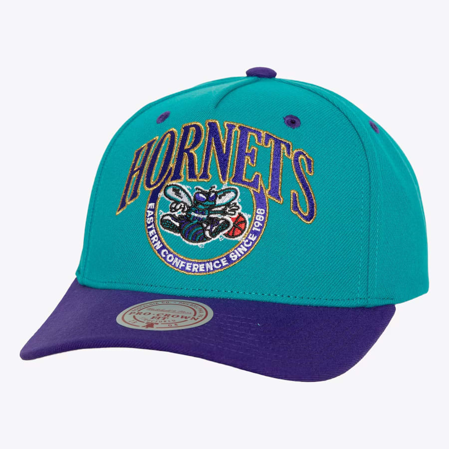 M&N Crown Jewels Pro Snapback Charlotte Hornets