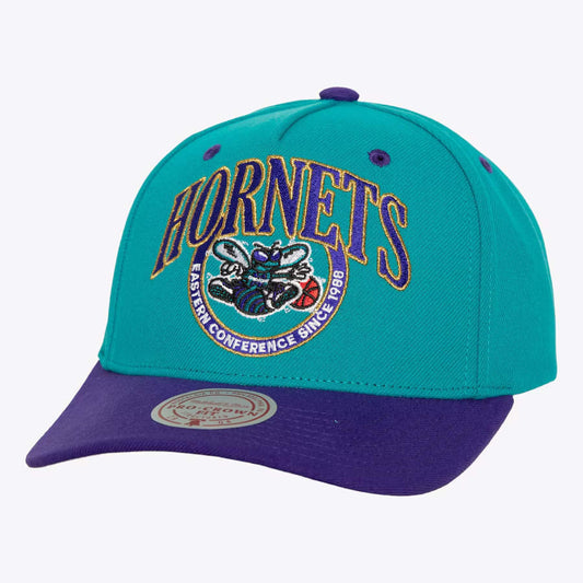 M&N Crown Jewels Pro Snapback Charlotte Hornets
