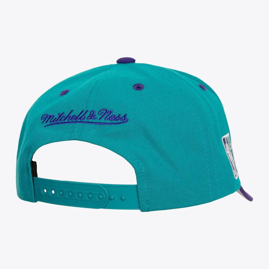 M&N Crown Jewels Pro Snapback Charlotte Hornets