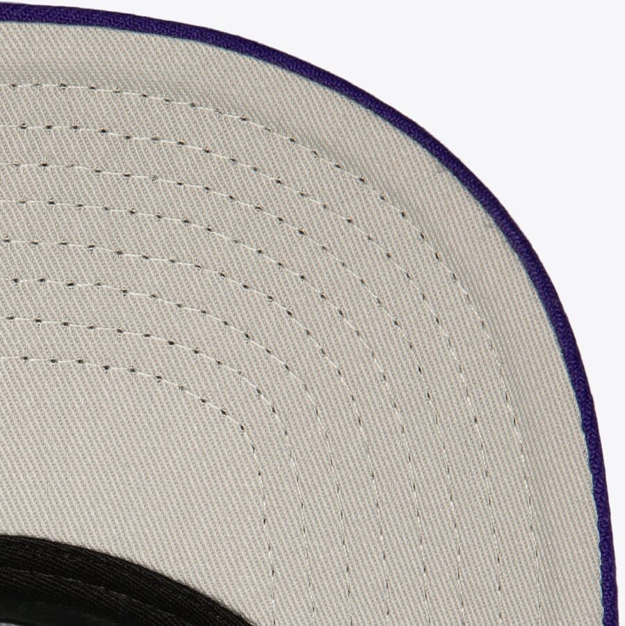 M&N Crown Jewels Pro Snapback Charlotte Hornets