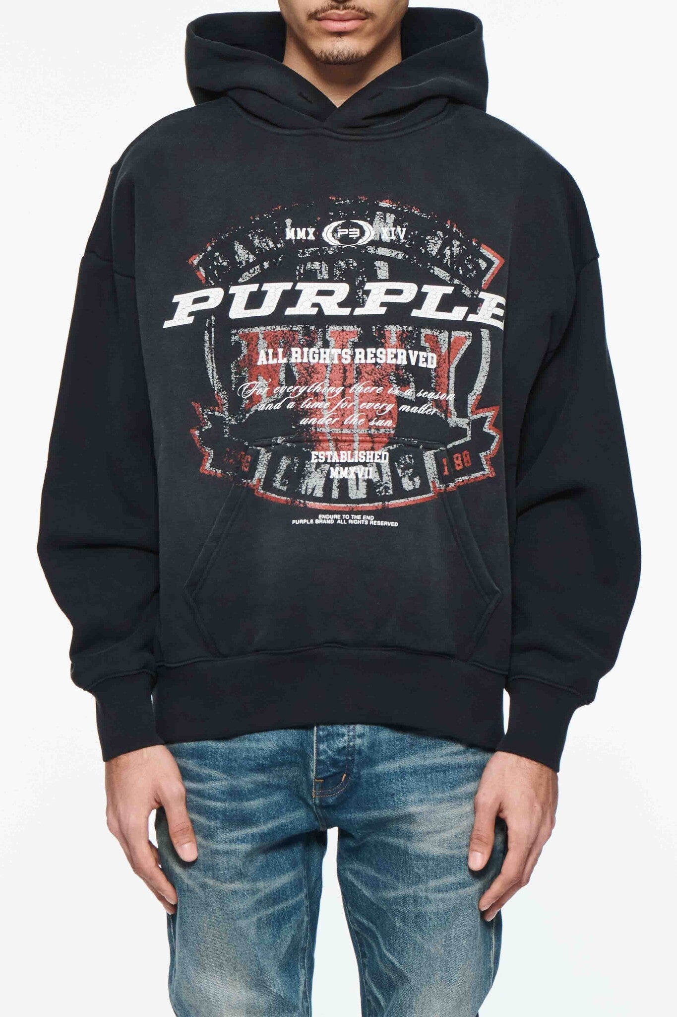 Purple Brand Hwt Fleece Pullover Hoody