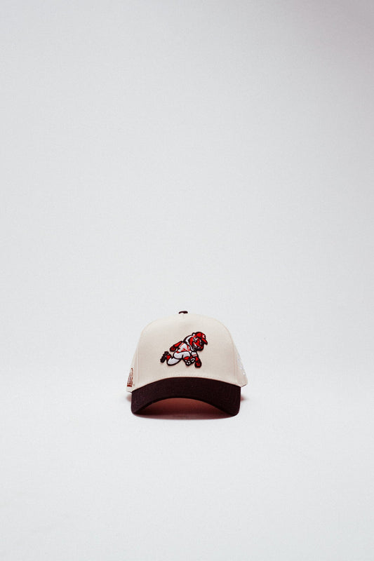 Reference Ligers Hat